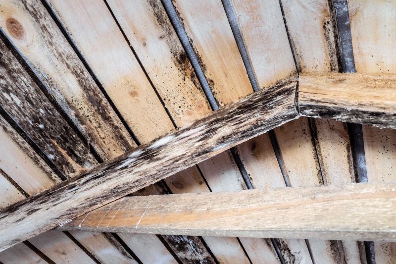 Ceiling Joist Repair in Kansas City, KS