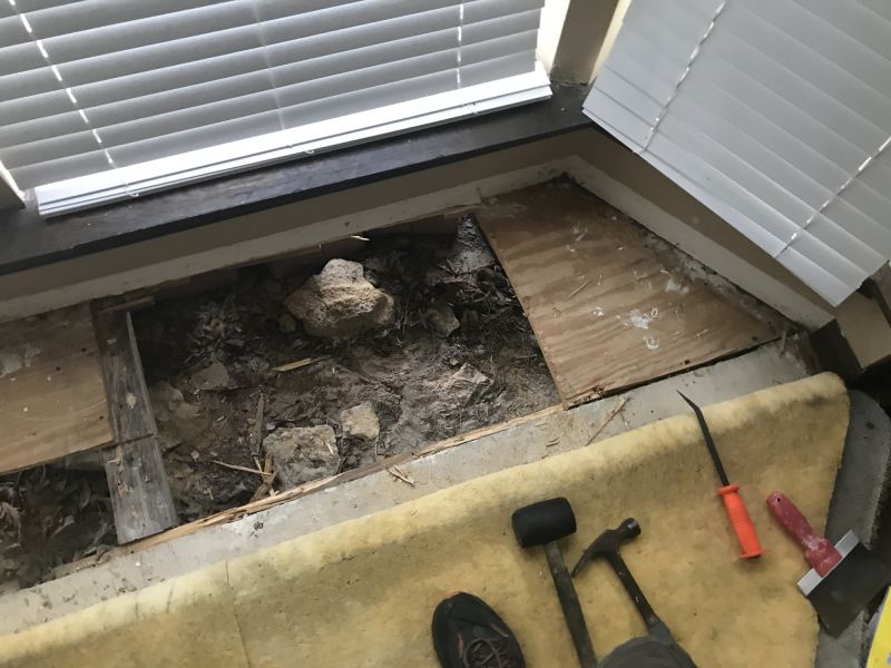 Subfloor Wood Repair