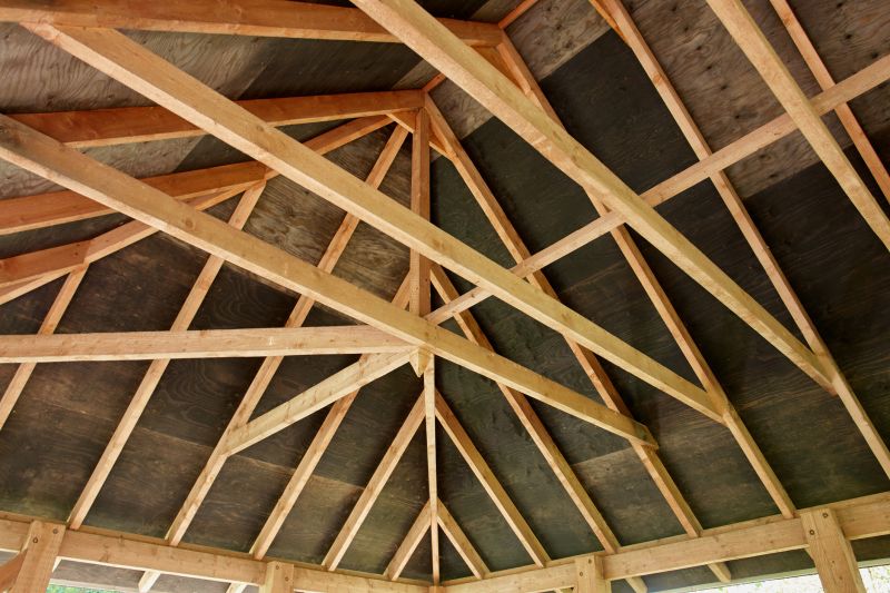 Roof Trusses Installation in Conroe, TX